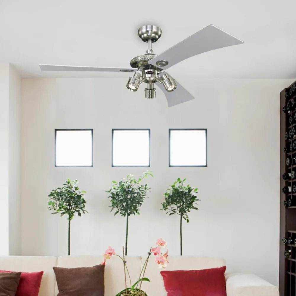 Westinghouse Audubon takvifte